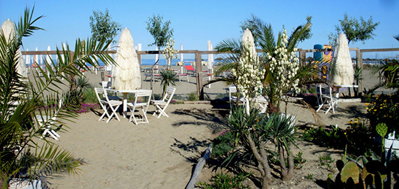 ombrelloni e tavolini nel giardino esotico giardino sulla sabbia