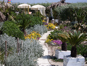 orto botanico con fiori profumati, palme e piante esotiche orto botanico